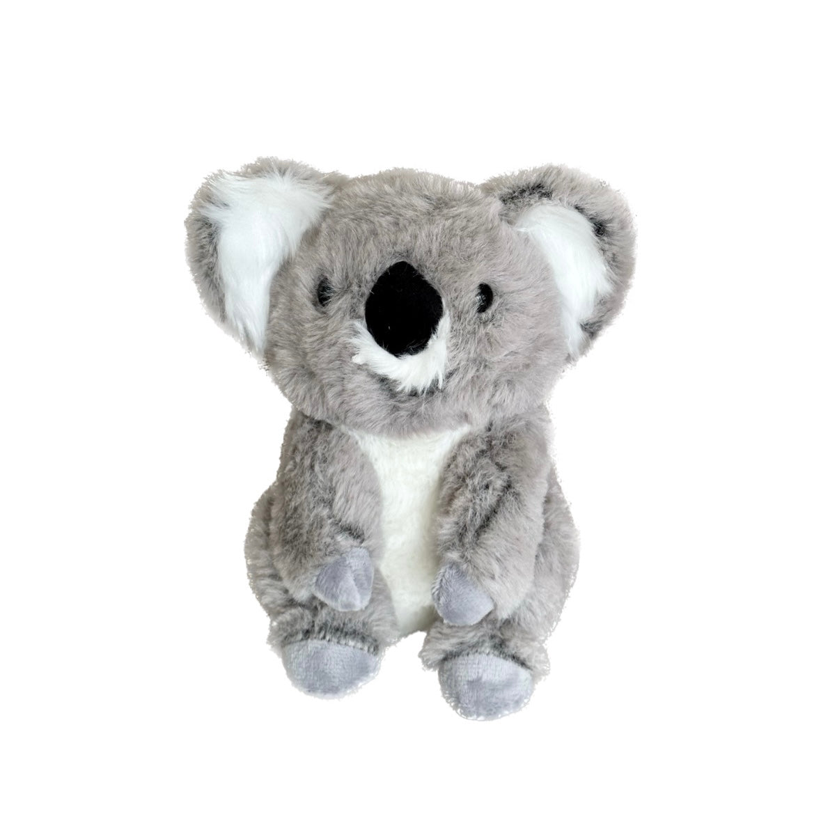Baby Koala