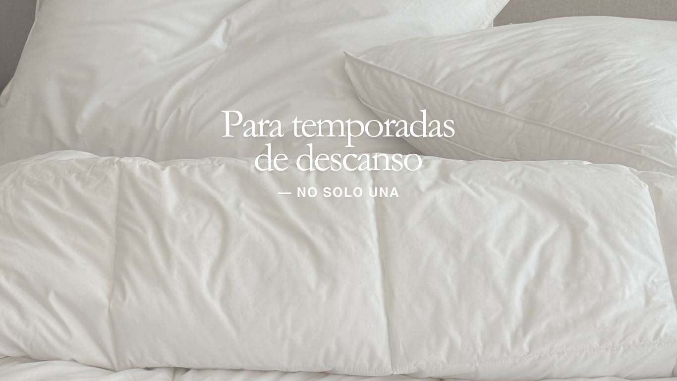 custom-slideshow-image-desktop-block_YjyTJi