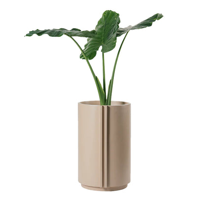 The Cylinder Medium